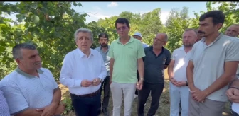 CHP Samsun Milletvekili Murat Çan, Fındık Üreticilerinin Sorunlarını Dile Getirdi