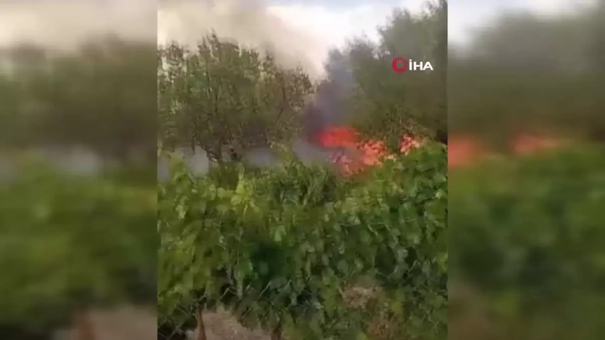 Elazığ'da bahçe yangını kontrol altına alındı