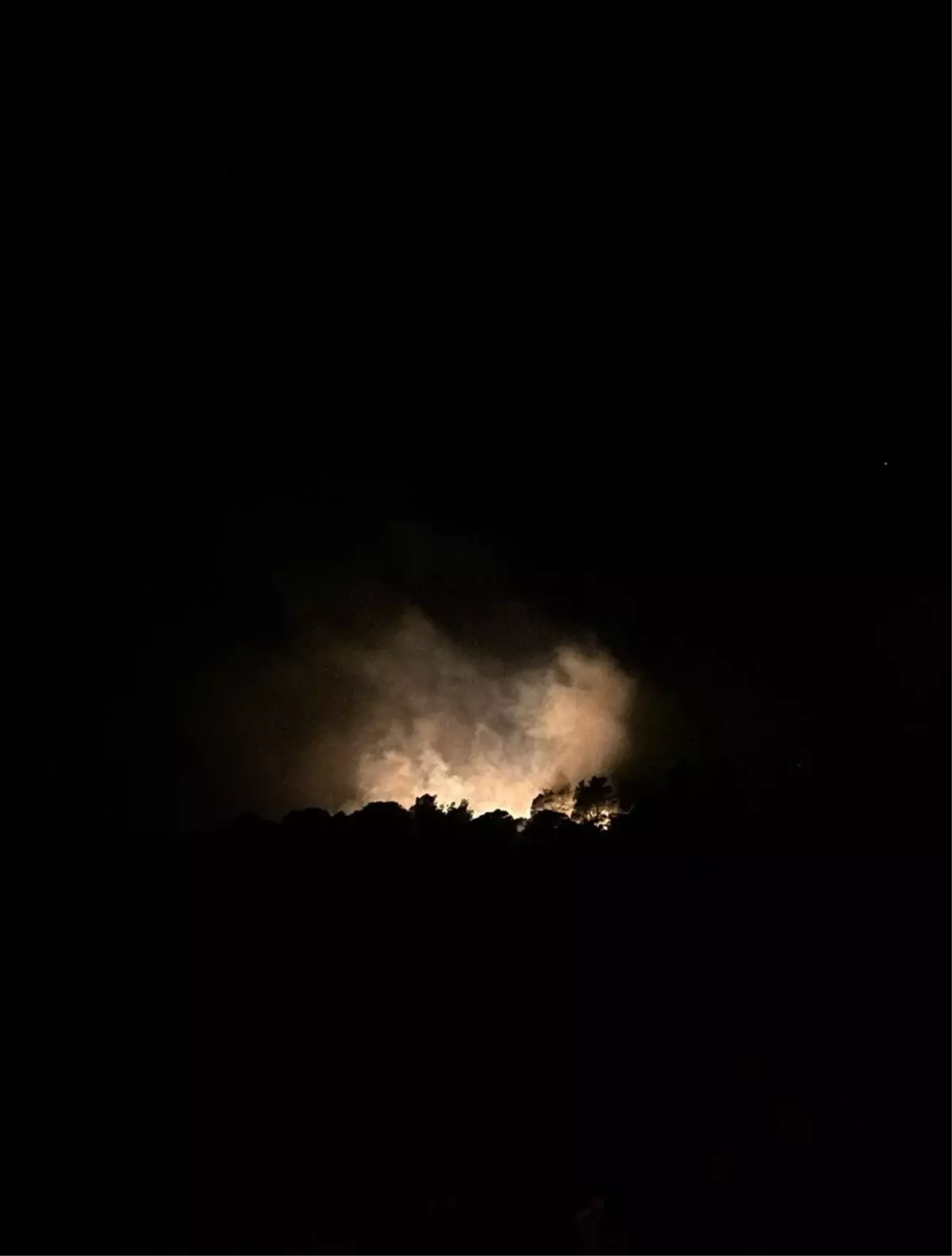 İzmir Urla'da çıkan orman yangını kontrol altına alındı