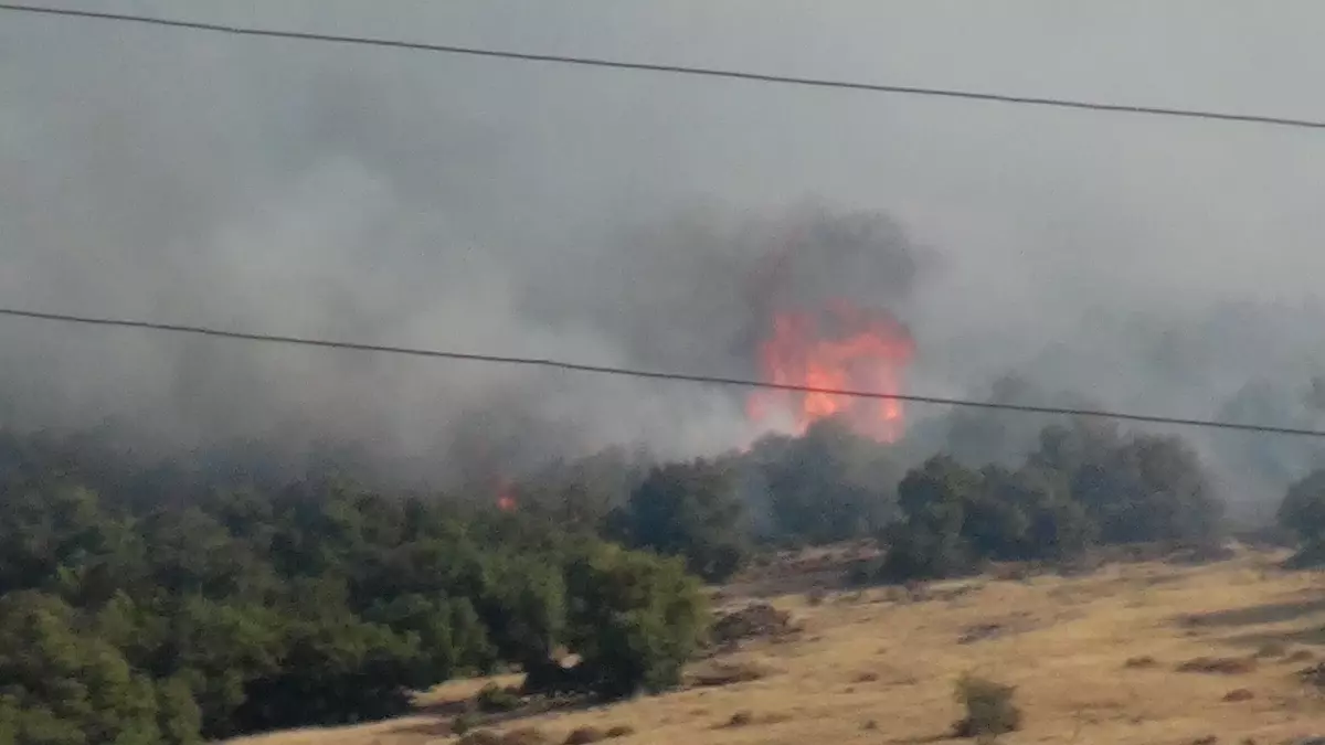 Kilis'te Orman Yangını Kontrol Altına Alındı