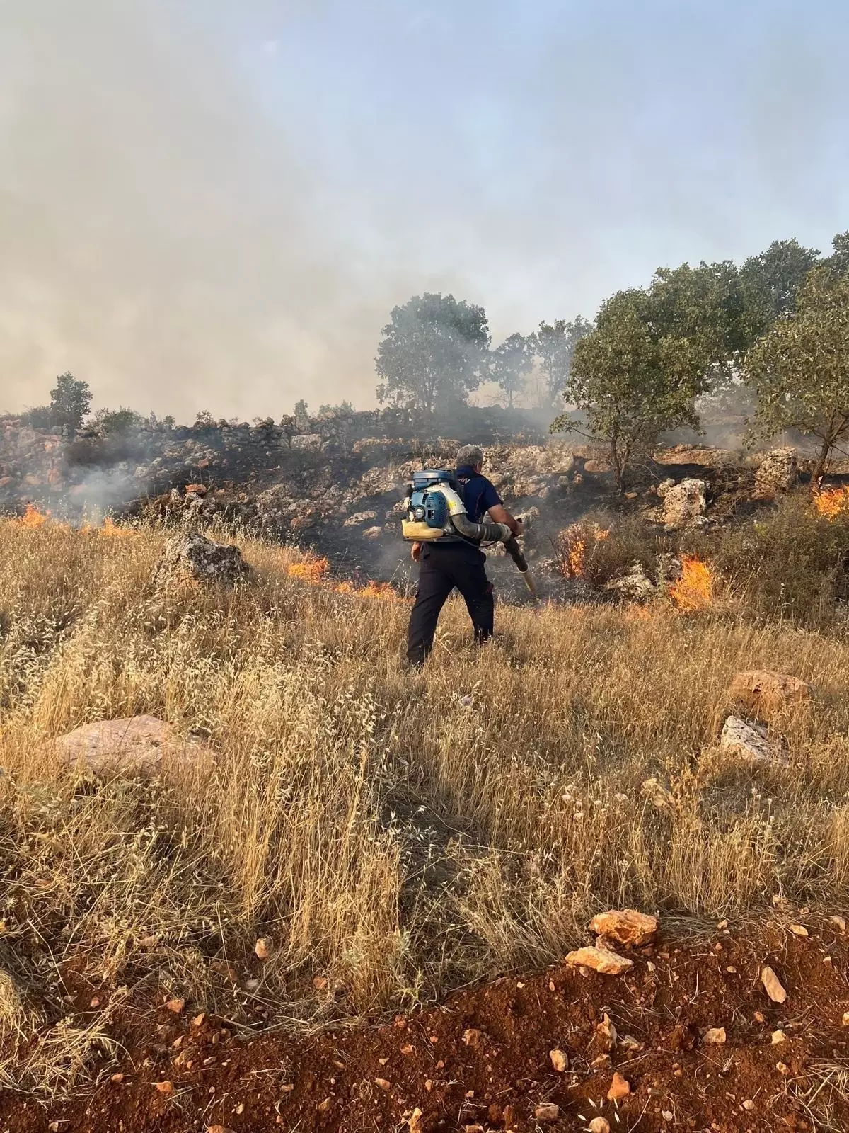 Mardin'de çıkan örtü ve anız yangınları söndürüldü