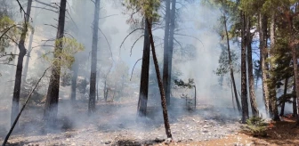 Mersin'de yıldırım isabet eden ormanlık alanda çıkan yangın söndürüldü