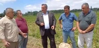 CHP Milletvekili Gürer, Altunhisar'da Patates Üreticileriyle Buluştu