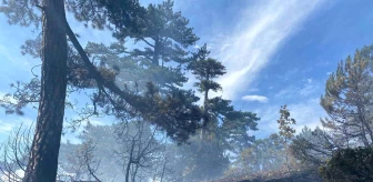 Bolu Göynük'te Ormanlık Alanda Çıkan Yangın Kontrol Altına Alındı