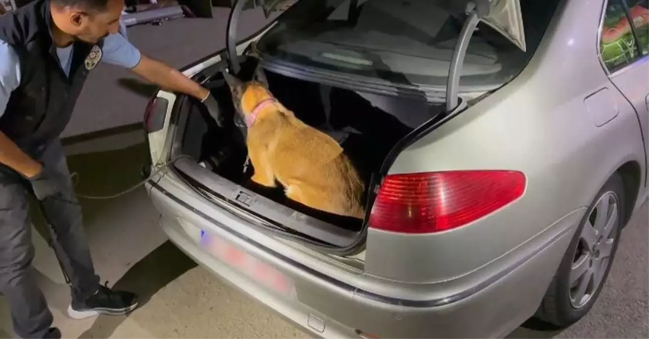 Malatya'da 19 Kilo Skunk İle Yakalanan Şüpheli Tutuklandı