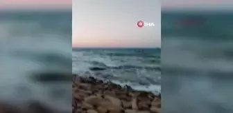Sarıyer'deki Kısırkaya Plajı'nda kaybolan adamın cansız bedenine ulaşıldı