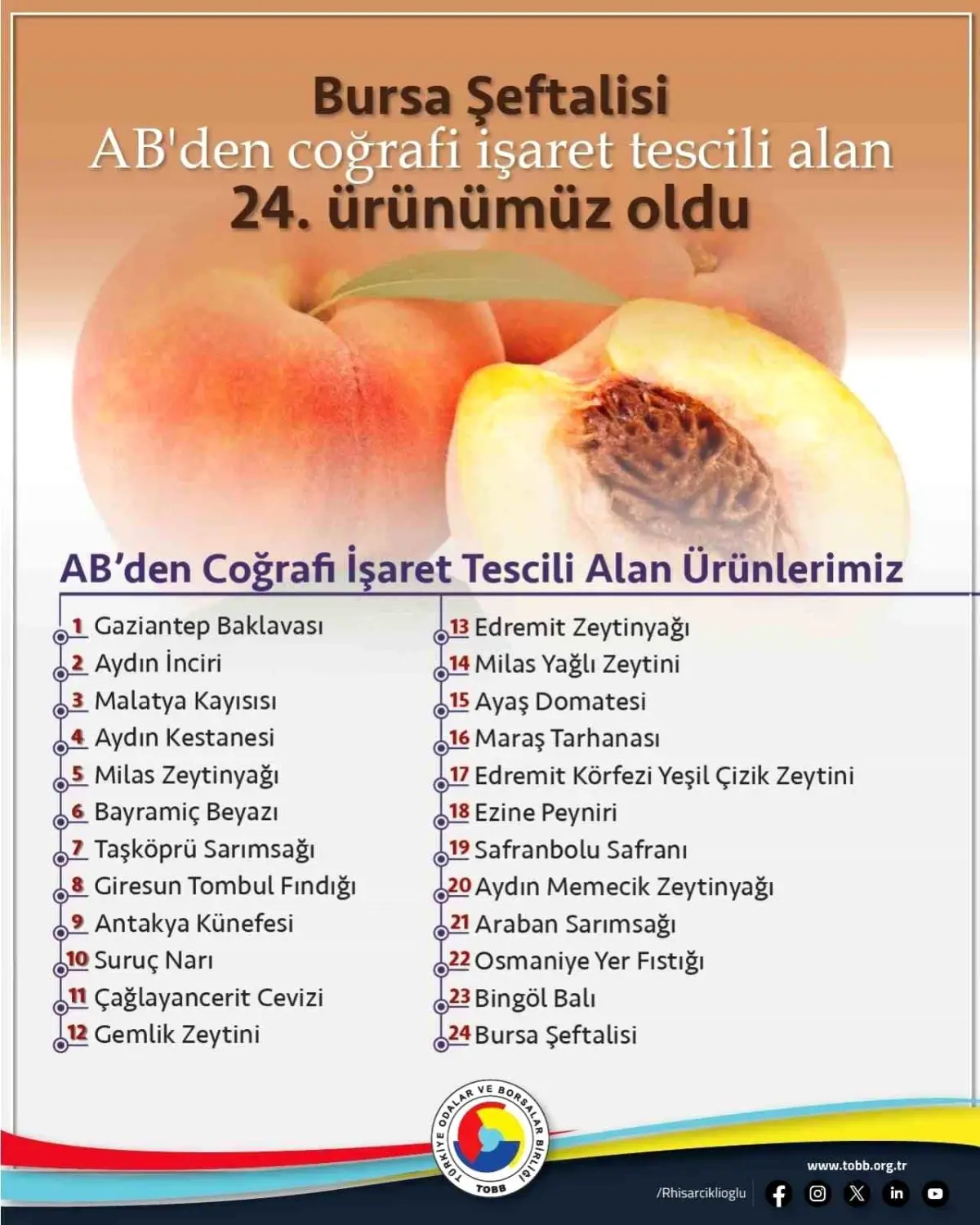 Bursa Şeftalisi AB'den Coğrafi İşaret Tescili Aldı