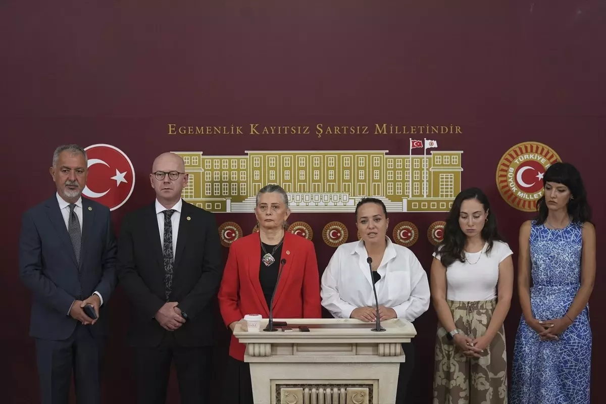 CHP Milletvekili Suiçmez, Hayvanları Koruma Kanunu Teklifi'nin geri çekilmesini istedi