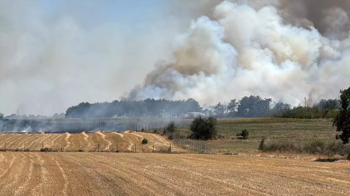 Kırklareli'nde saman yüklü kamyonda çıkan yangın söndürüldü