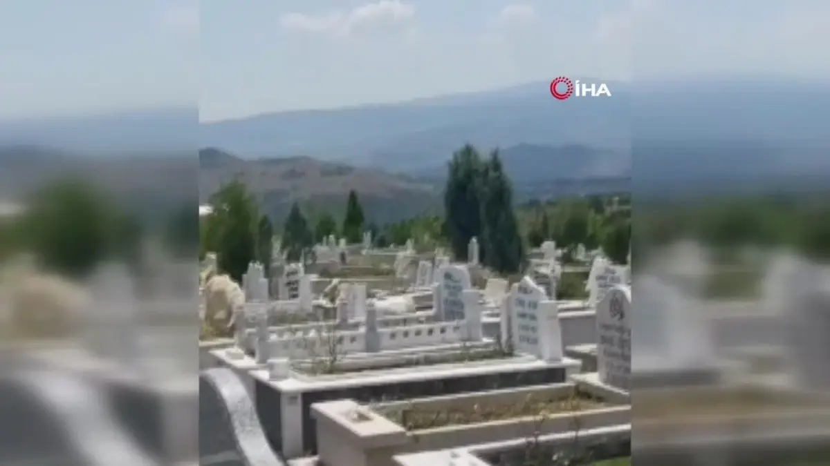 Mezarlıklar küçükbaş hayvanların otlaklığı oldu