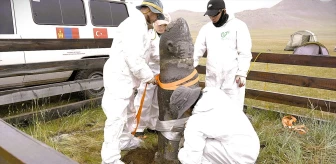 Moğolistan'da Göktürk dönemine ait eserler restore edildi