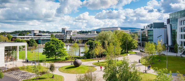 Yüksek ücretlere kayıt alıp sahte diploma dağıttılar! Hayali Uluslararası Dublin Üniversitesi'ne soruşturma