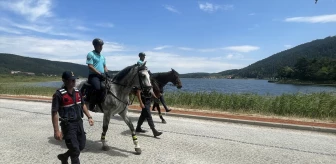 Abant Gölü Milli Parkı'nda Atlı Jandarma Timleri Görev Yapıyor