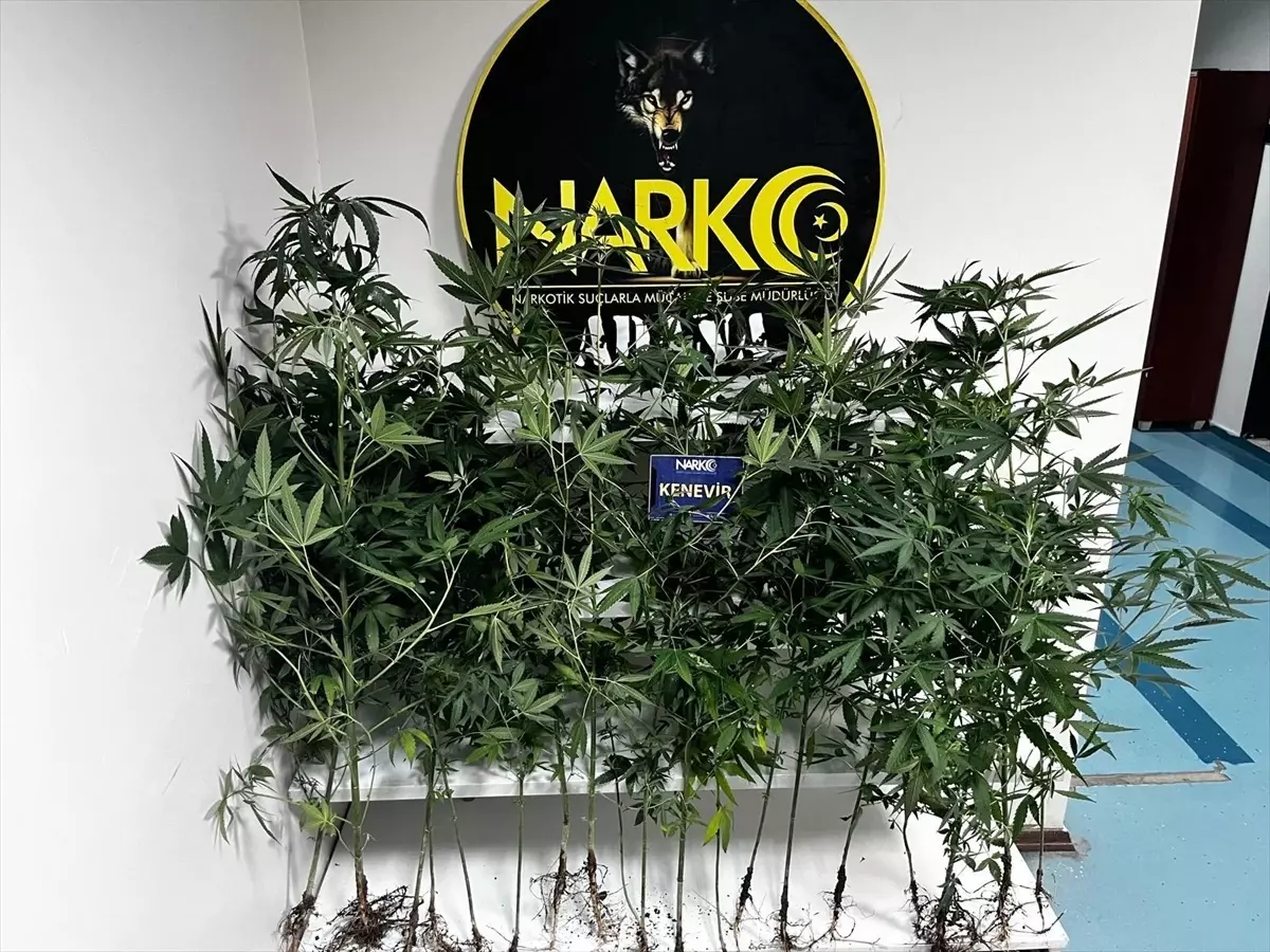 Adana'da Uyuşturucu Operasyonunda 44 Tutuklama