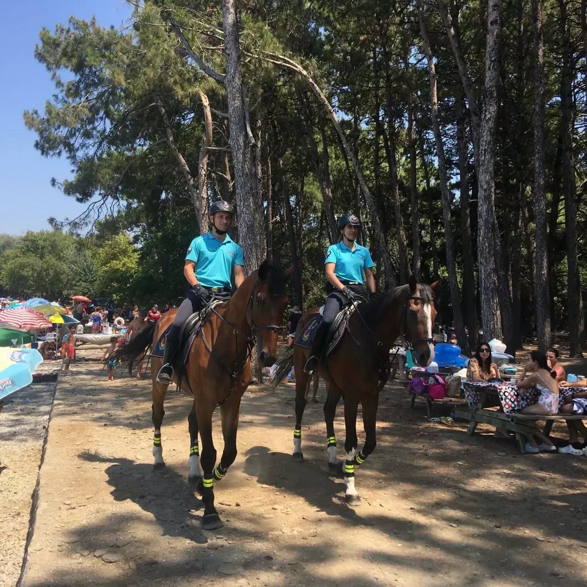 Aydın'da Orman Yangınlarına Karşı Tedbirler Artırıldı