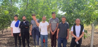 Edirne ve Kırklareli'nde 14 düzensiz göçmen yakalandı