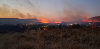 İzmir Foça'da çıkan orman yangını kontrol altına alındı