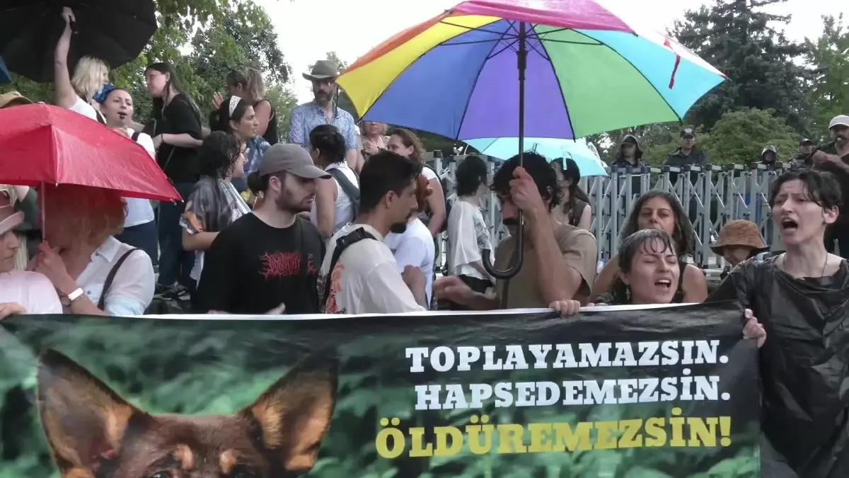Hayvan Hakları Savunucuları TBMM Önünde Protesto Yaptı