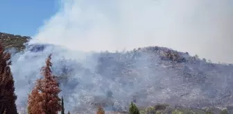 İzmir'deki orman yangını kontrol altına alındı