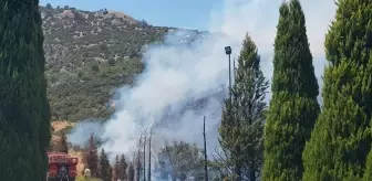 İzmir Selçuk'ta yangın! İzmir'de yangın mı çıktı? Yangın nerede çıktı, ne oldu?