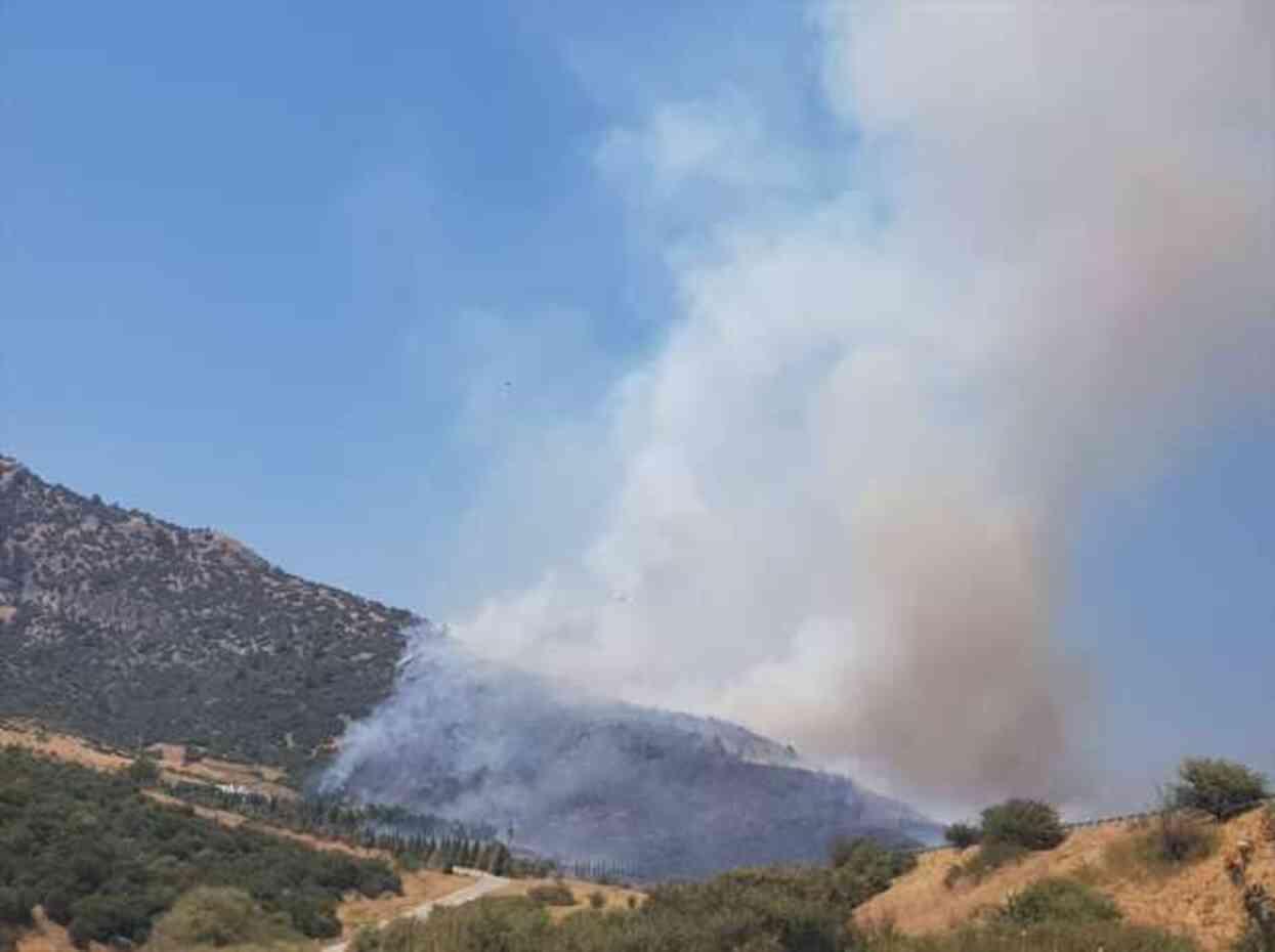 İzmir Selçuk'ta yangın! İzmir'de yangın mı çıktı? Yangın nerede çıktı, ne oldu?