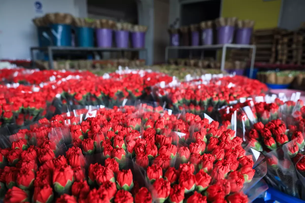 Antalya, Çiçek İhracatında Hedefine Ulaştı