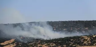 Kilis'teki Orman Yangını Havadan ve Karadan Söndürüldü