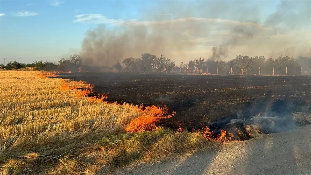 Kırklareli'nde çıkan yangın bağ evini kullanılamaz hale getirdi
