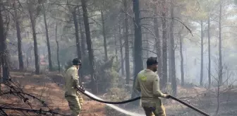 Kütahya'da Orman Yangını Kontrol Altına Alındı