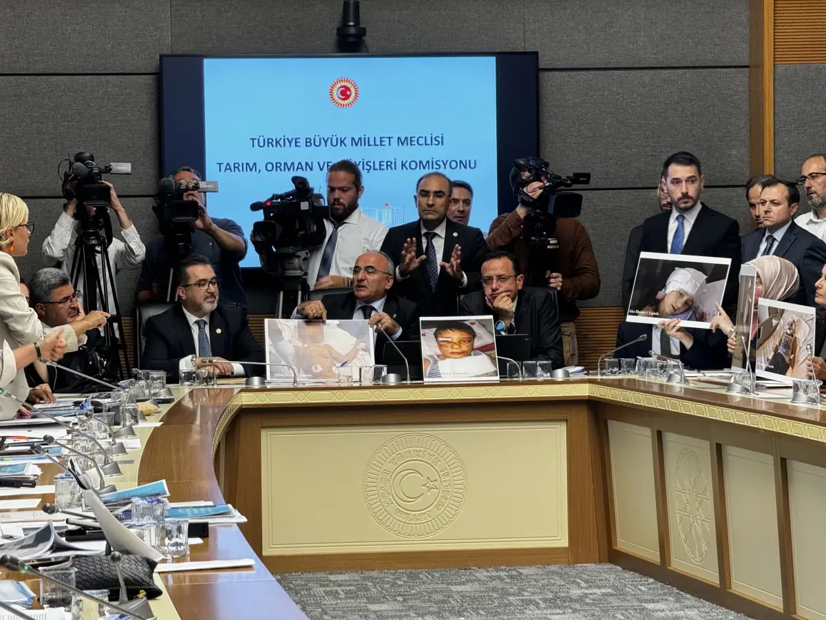 Sokak hayvanlarına ilişkin yasa teklifi tartışmalı başladı