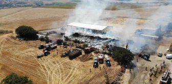 Tekirdağ'da çiftlikte çıkan yangında 15 bin balya saman yandı