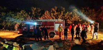 Tunceli'nin Pertek ilçesinde çıkan yangında 26 büyükbaş hayvan telef oldu