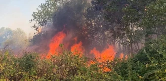 Edirne'de Katı Atık Depolama Tesisi Yangını Kontrol Altına Alındı