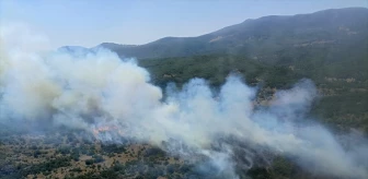 Bursa Orhaneli'de Orman Yangını Kontrol Altına Alındı