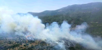 Bursa'da Orman Yangını Kontrol Altına Alındı