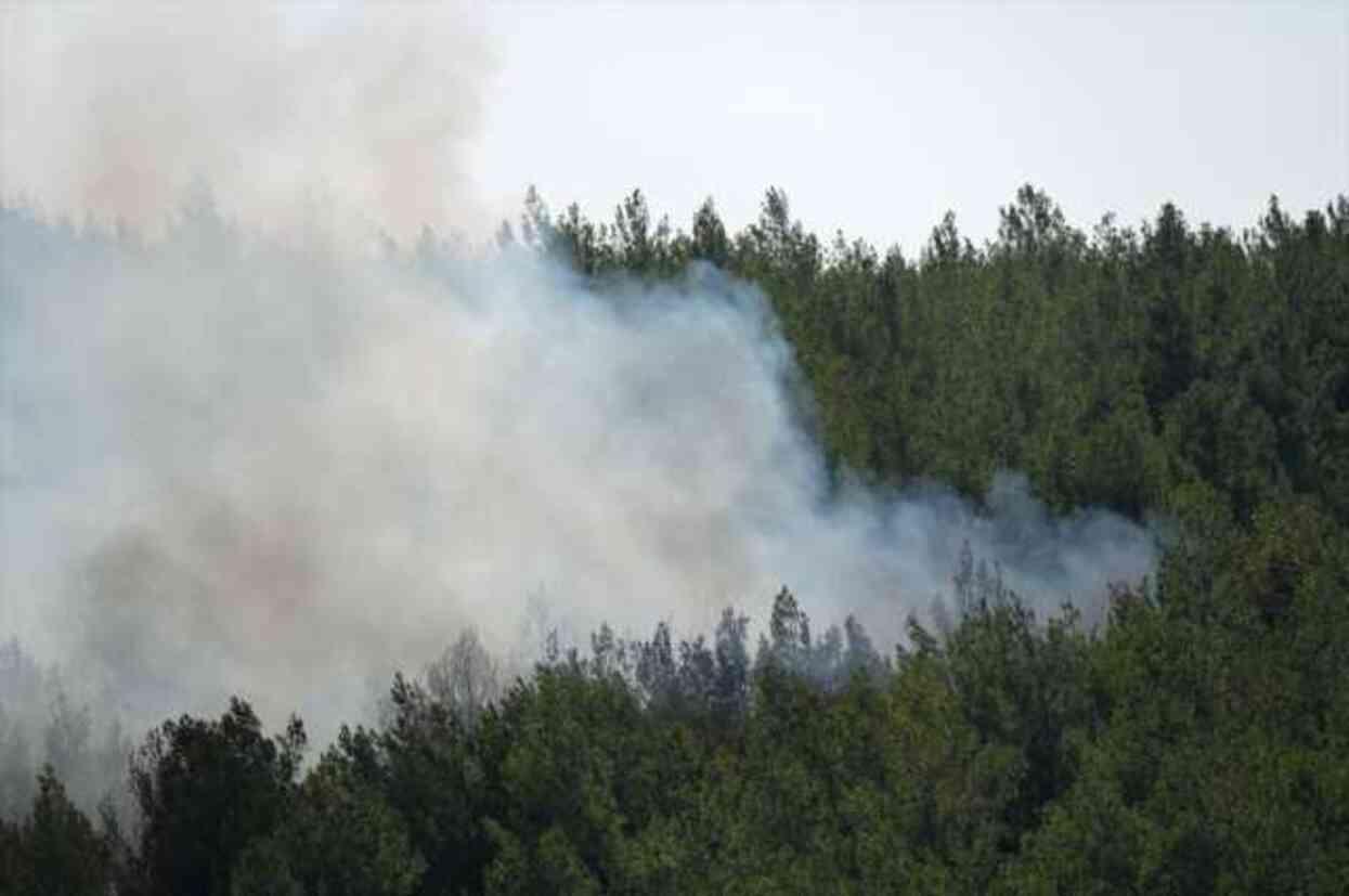 İzmir'de orman yangını! Alevler Adnan Menderes Havalimanı'na kadar yaklaştı, seferler iptal edildi İzmir'de orman yangını! Alevler Adnan Menderes Havalimanı'na kadar yaklaştı, seferler iptal edildi