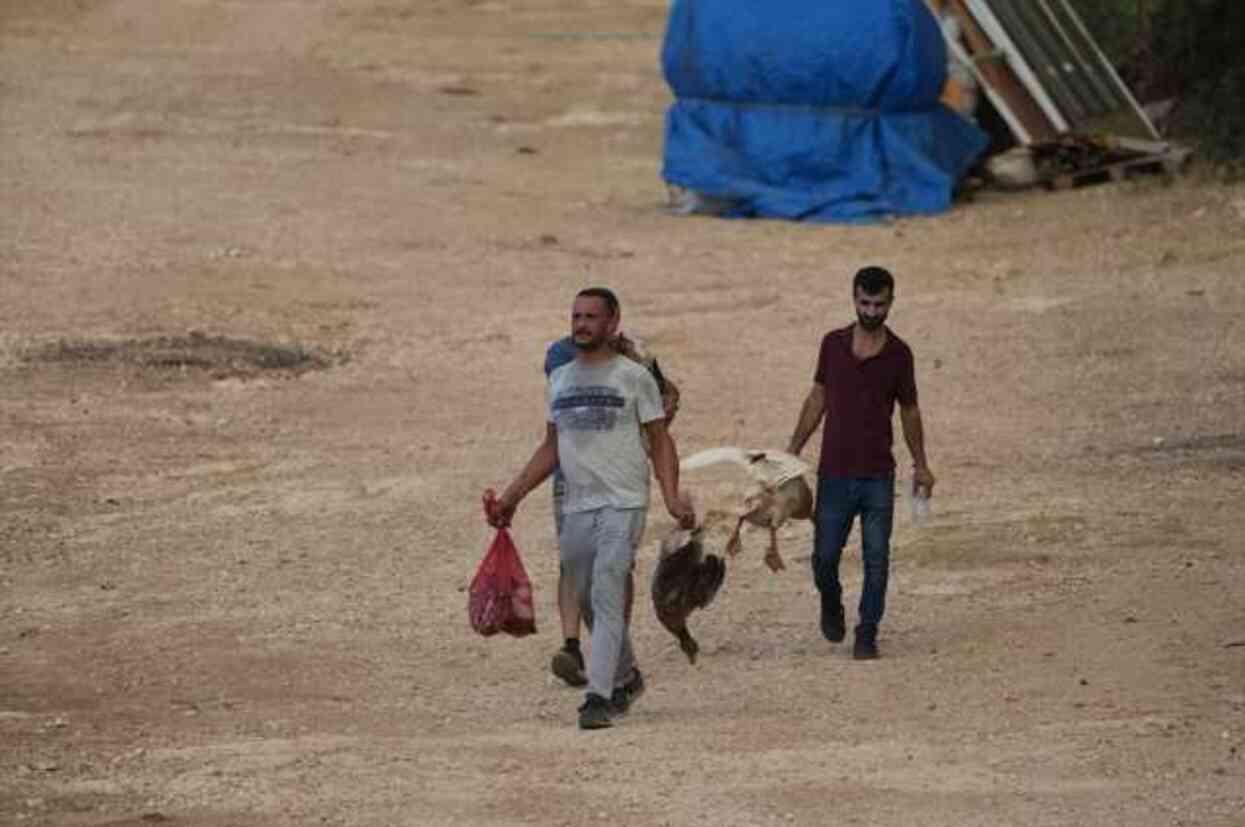 İzmir'de orman yangını! Alevler Adnan Menderes Havalimanı'na kadar yaklaştı, seferler iptal edildi İzmir'de orman yangını! Alevler Adnan Menderes Havalimanı'na kadar yaklaştı, seferler iptal edildi