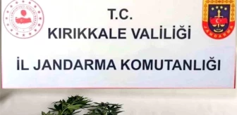 Kırıkkale'de Uyuşturucu Operasyonu: 3 Şüpheli Gözaltına Alındı