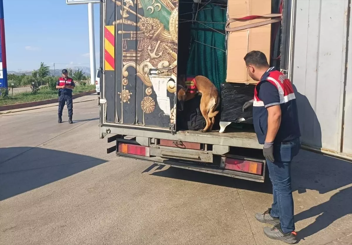 Adıyaman'da huzurlu sokaklar ve narkotik suçlarla mücadele uygulamasında 12 şüpheli yakalandı