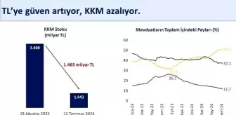 Hazine ve Maliye Bakanı Şimşek: TL'ye güven artıyor