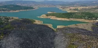 Balıkesir'de çıkan yangına neden olan zanlı tutuklandı