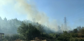 Bilecik Bayırköy'de çıkan orman yangını kısa sürede söndürüldü