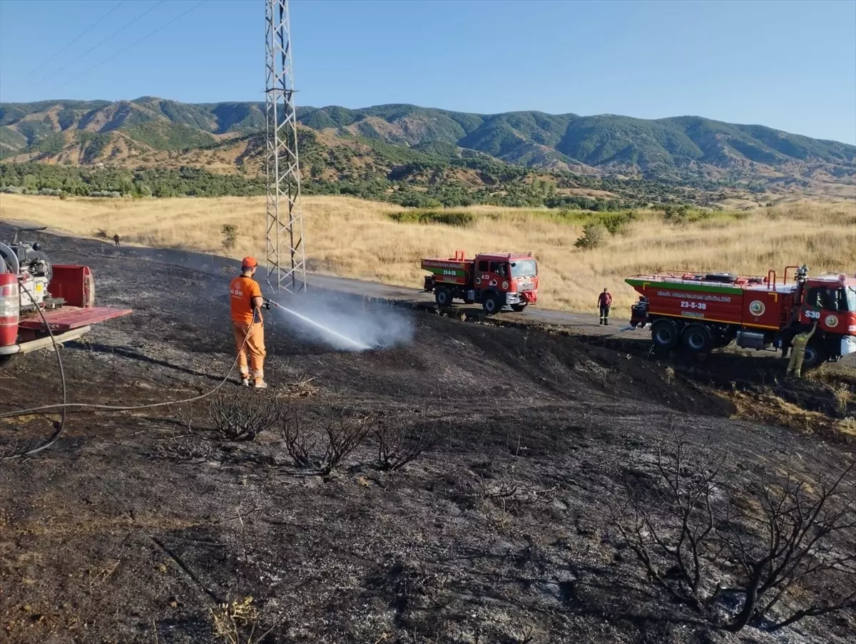 Bingöl'ün Genç ilçesinde çıkan örtü yangını söndürüldü