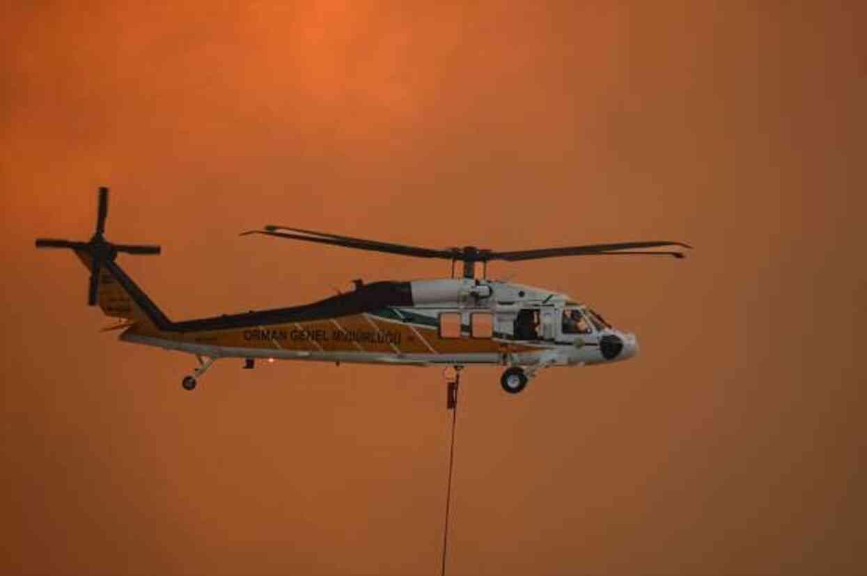 Buca'da başlayıp Gaziemir'e de sıçrayan orman yangını 2'nci gününde