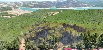 Çanakkale'de Orman Yangınına Havadan ve Karadan Müdahale Ediliyor