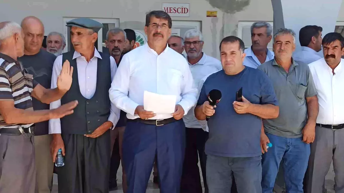 Malatya'da Kayısı Üreticileri Fiyatların Düşüklüğünden Şikayetçi