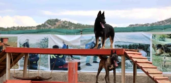 Konya'da Köpek Eğitim Merkezi: Hassas Burunlu Köpekler Göreve Hazır