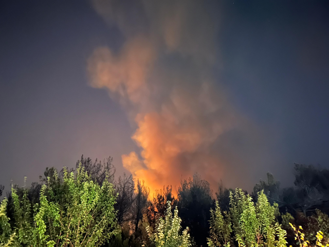 İZMİR'DE ORMAN YANGINI! İzmir'deki orman yangını söndürüldü mü, ne oldu?