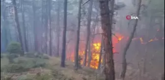 Kütahya Gediz'deki orman yangını kontrol altına alındı