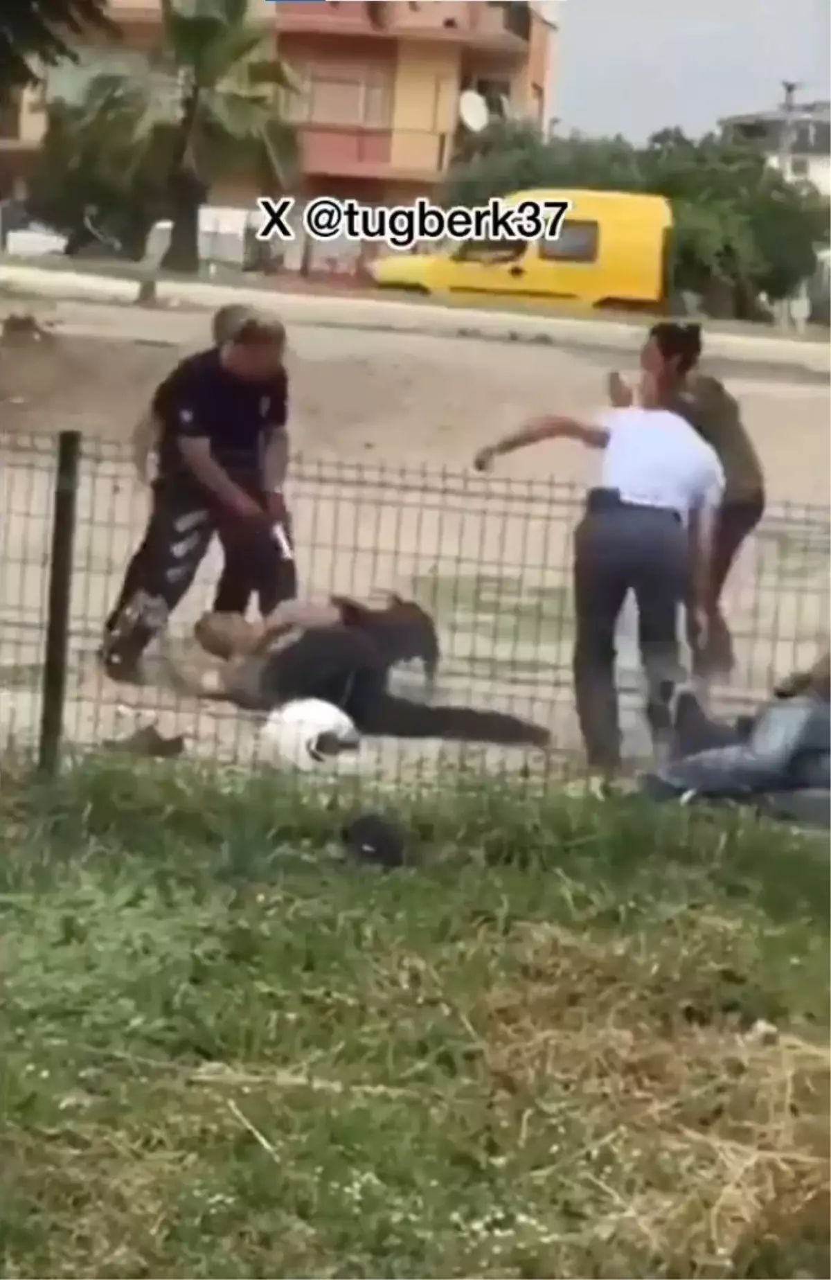 Peş peşe tetiğe bastı! Sokak köpeğinin saldırdığı vatandaşı polis memuru güçlükle kurtardı